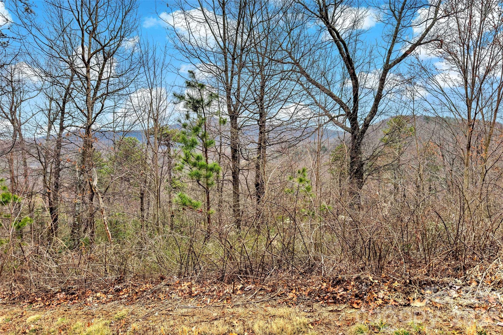 230 Catawba Falls Parkway Property Photo 20