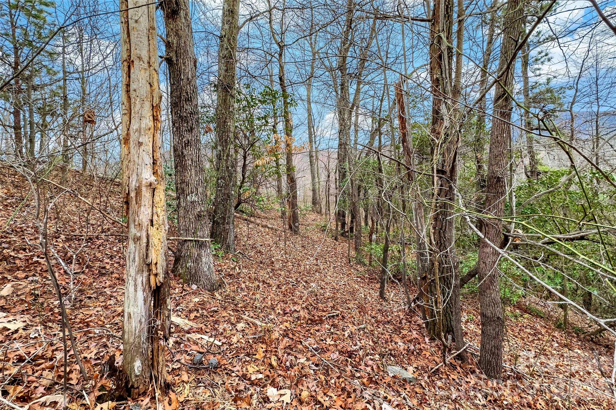 230 Catawba Falls Parkway Property Photo 22