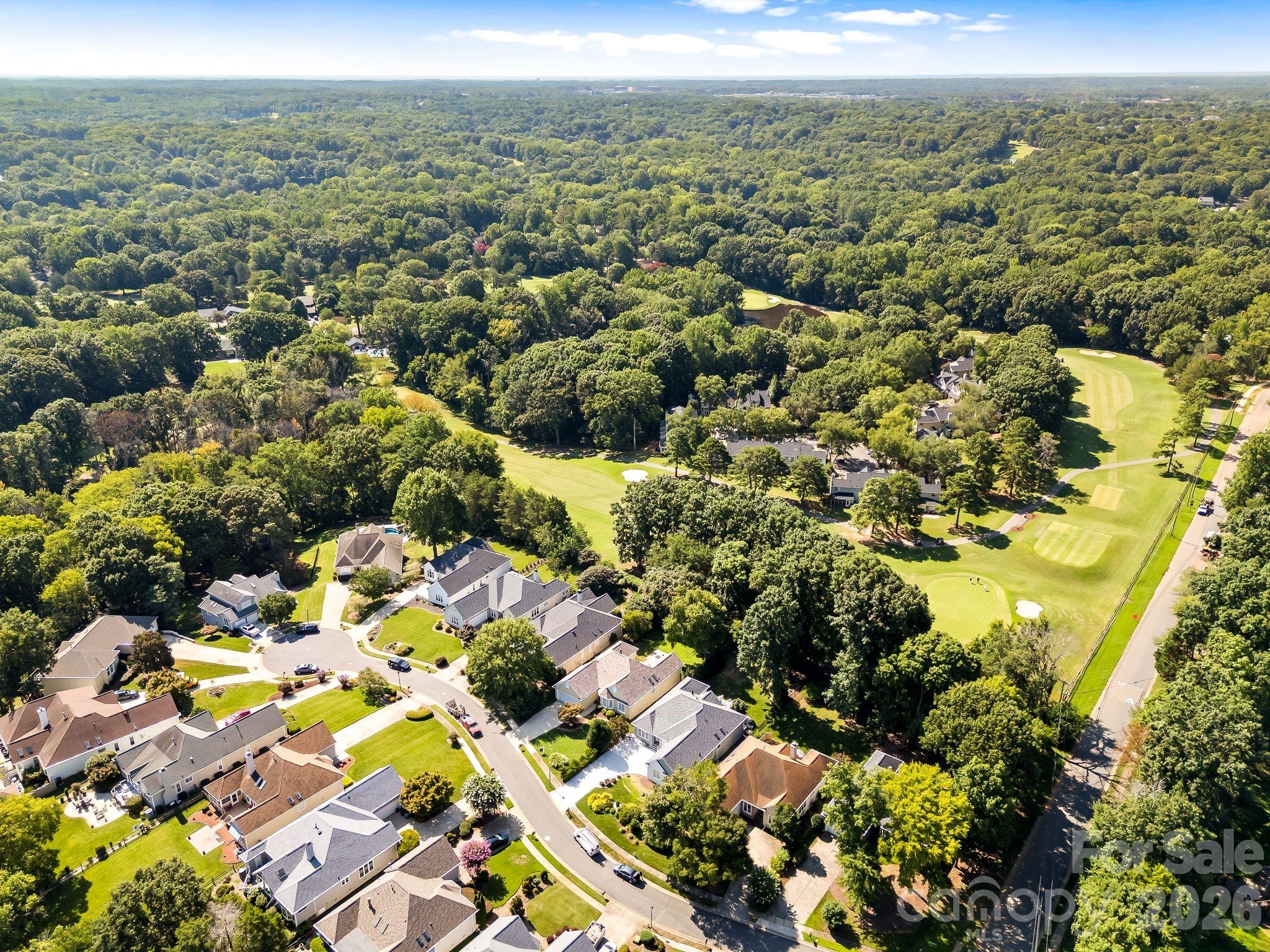 4123 Fairway Downs Court Property Photo 47