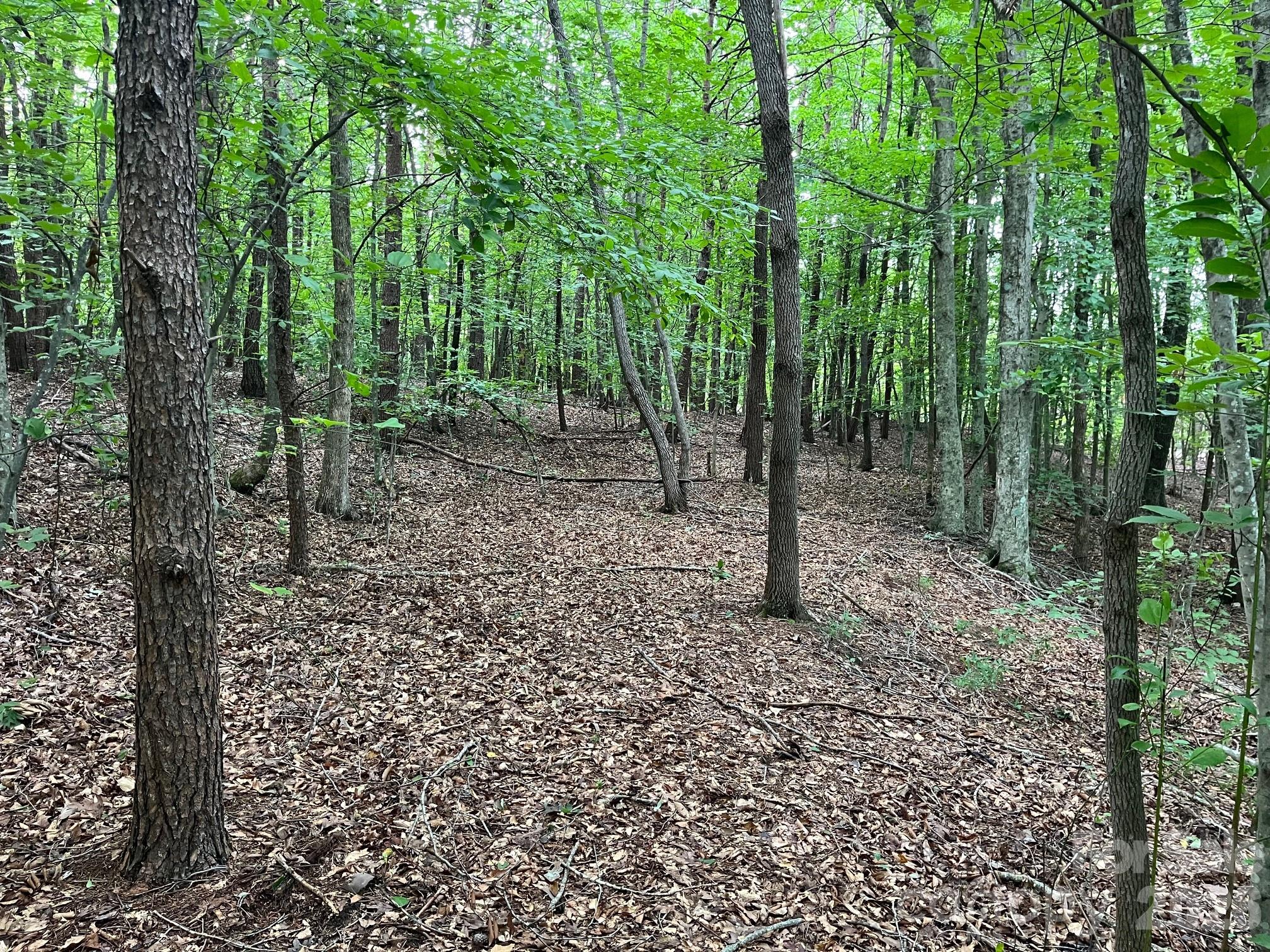 V/l Moore Branch Drive Property Photo 1