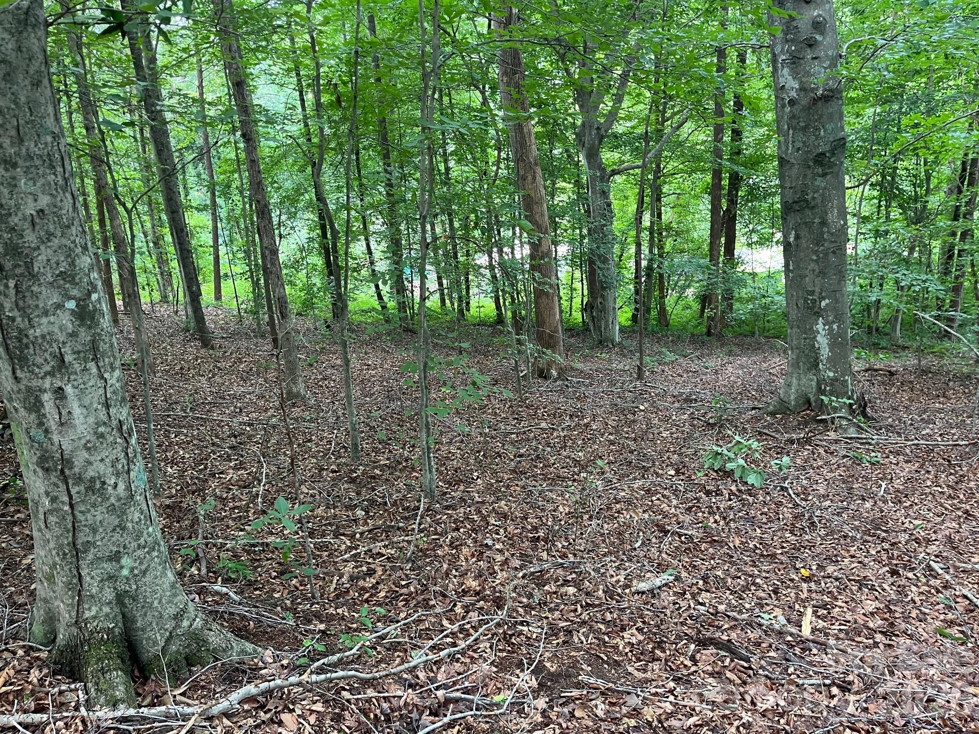 V/l Moore Branch Drive Property Photo 2