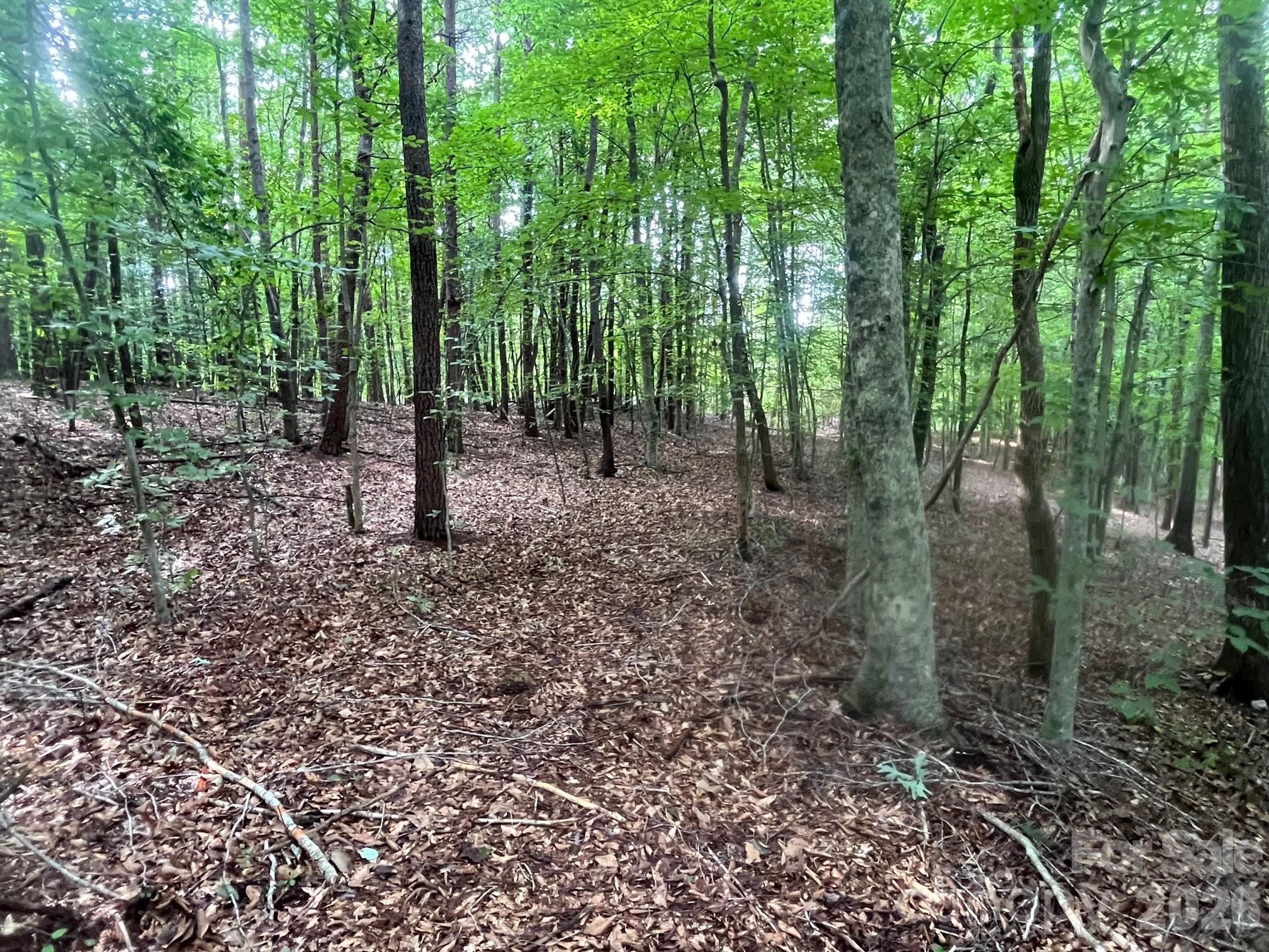 V/l Moore Branch Drive Property Photo 4