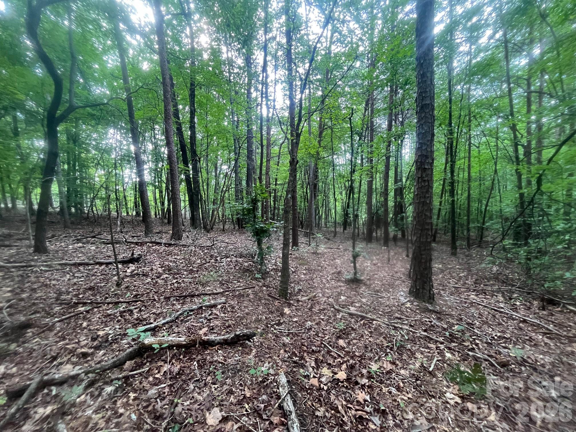 V/l Moore Branch Drive Property Photo 5