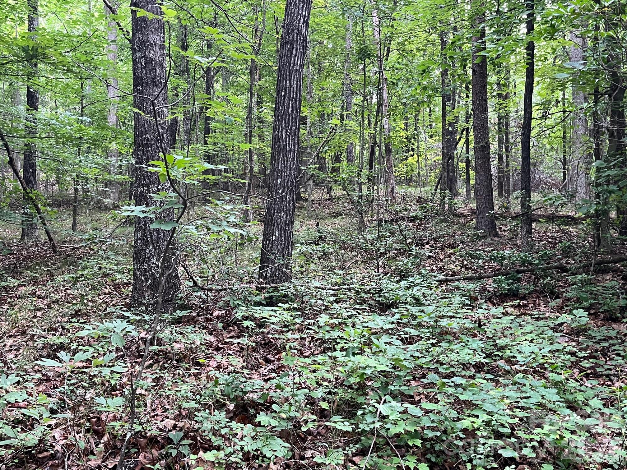 V/l Moore Branch Drive Property Photo 9