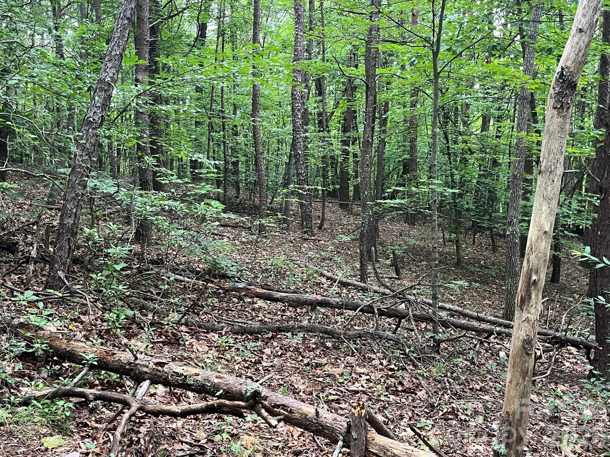 V/l Moore Branch Drive Property Photo 10
