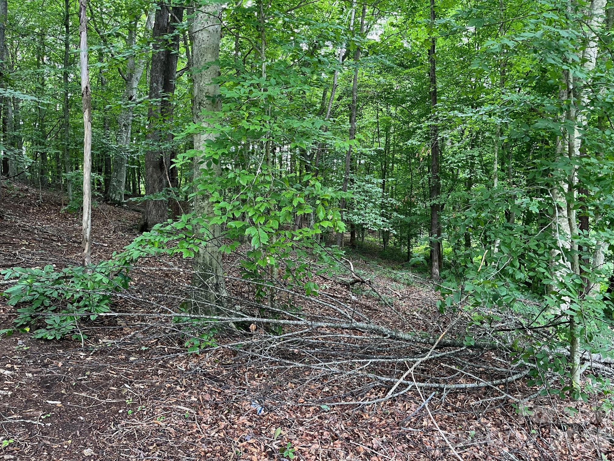 V/l Moore Branch Drive Property Photo 11