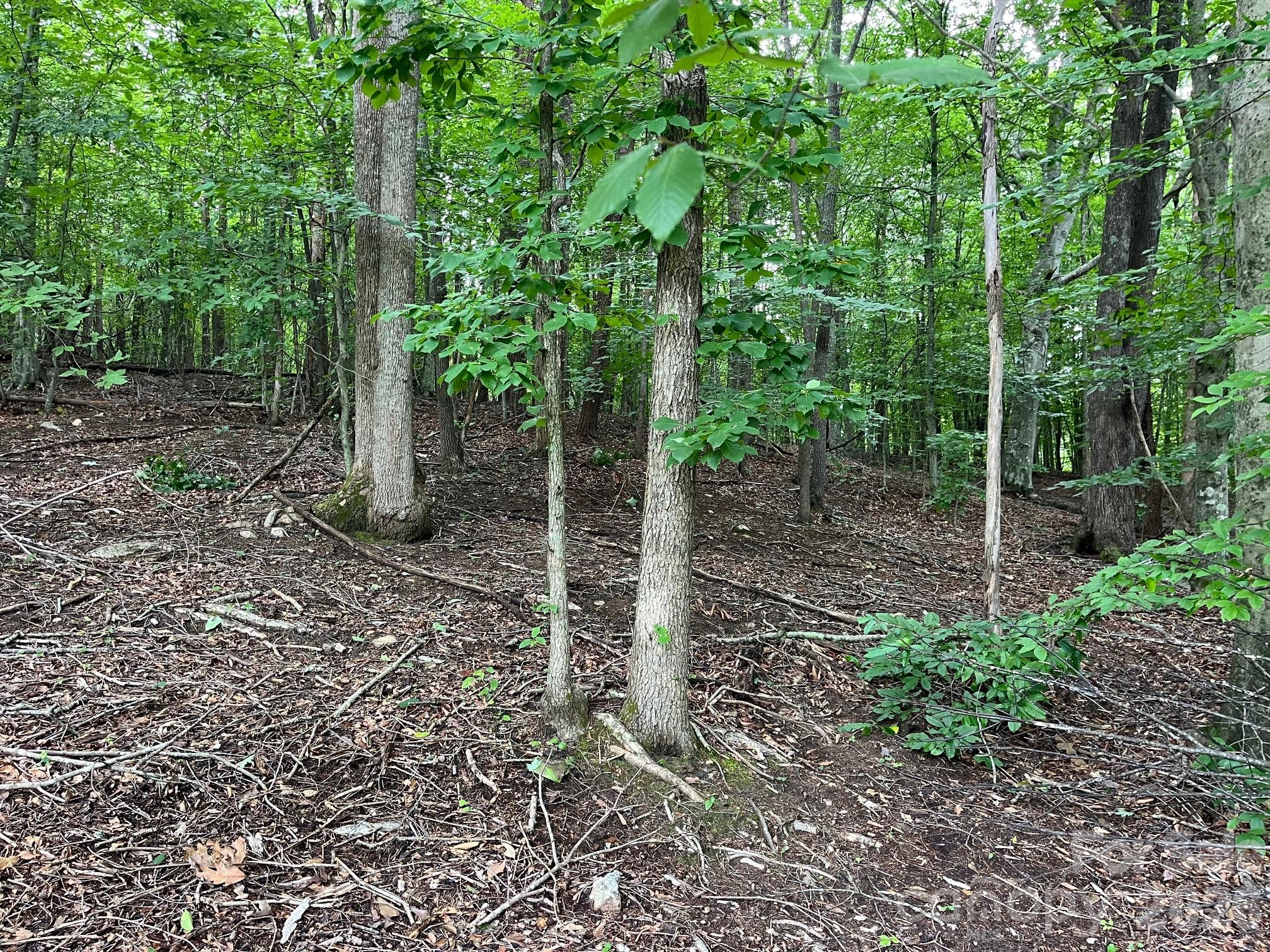 V/l Moore Branch Drive Property Photo 12