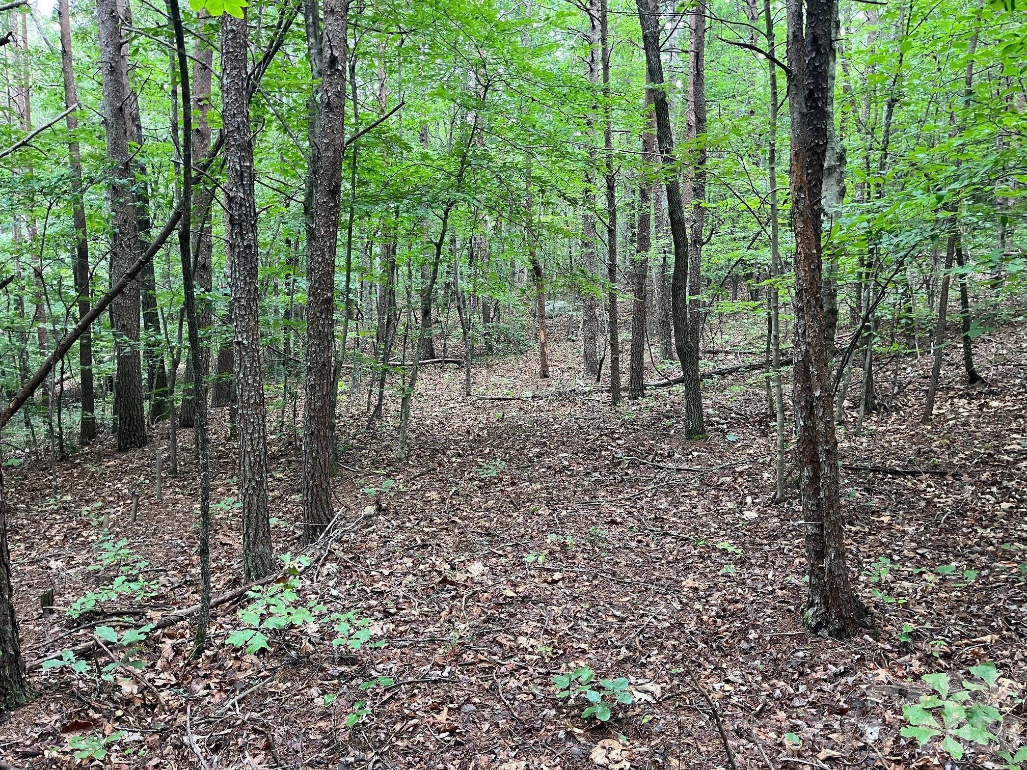 V/l Moore Branch Drive Property Photo 14