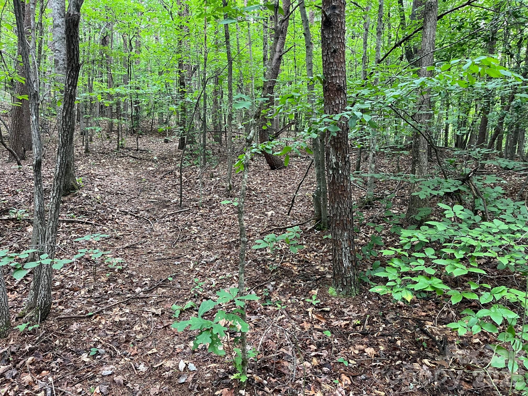V/l Moore Branch Drive Property Photo 15