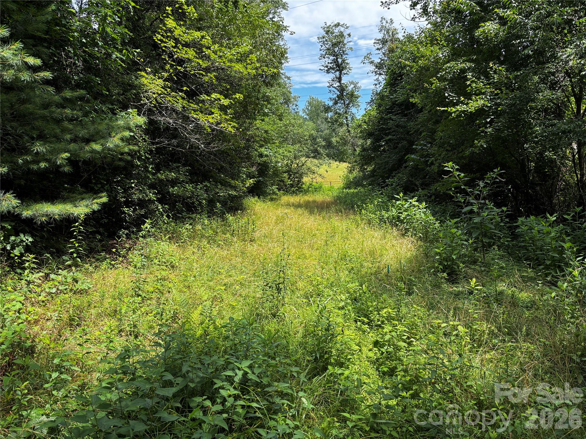 8485 Huffman Avenue Property Photo 6