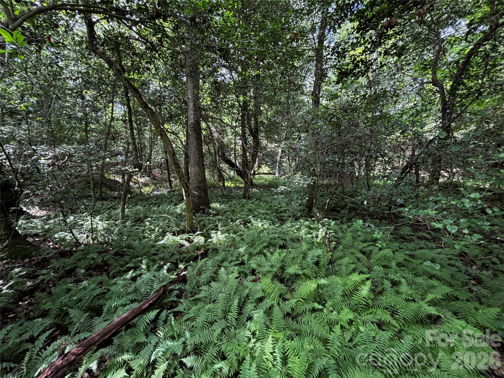 8485 Huffman Avenue Property Photo 14