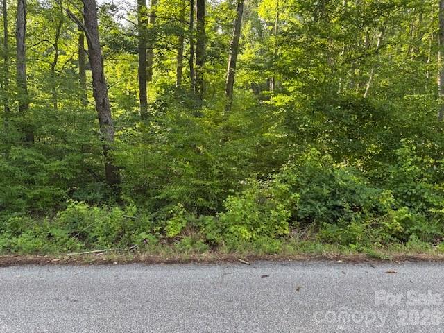 0 Lockhart Drive Property Photo 2