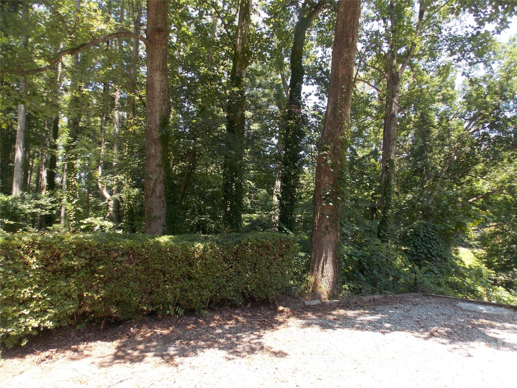 145 Hibriten Mountain Road Property Photo 26