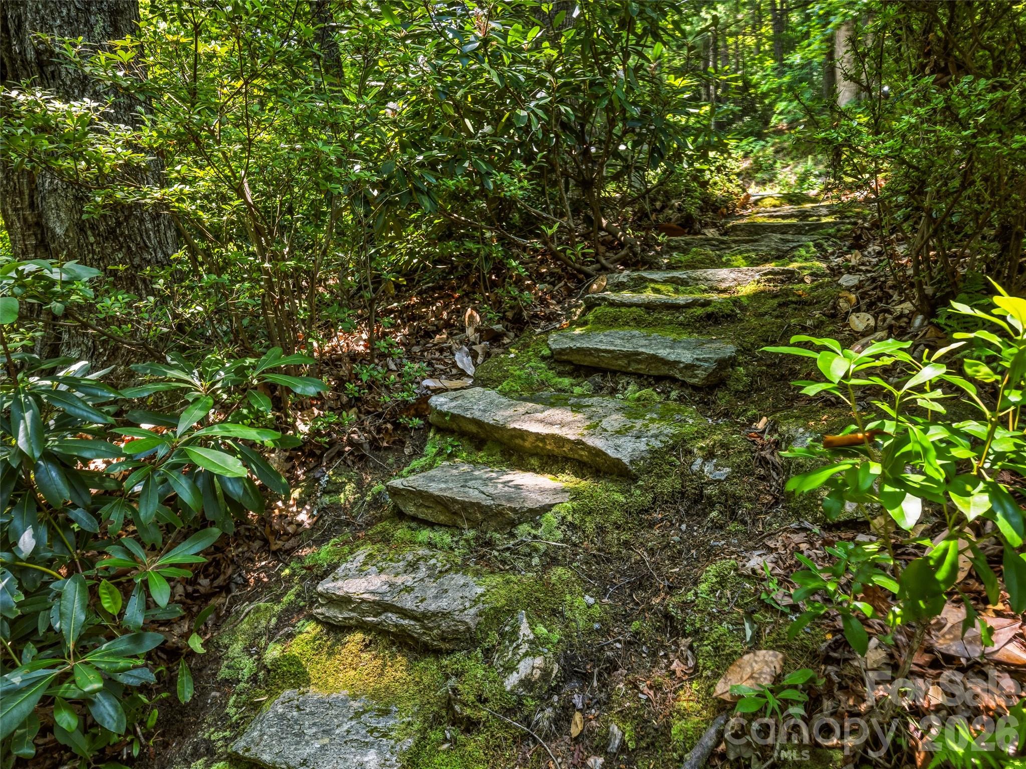 785 Pisgah Forest Drive Property Photo 38