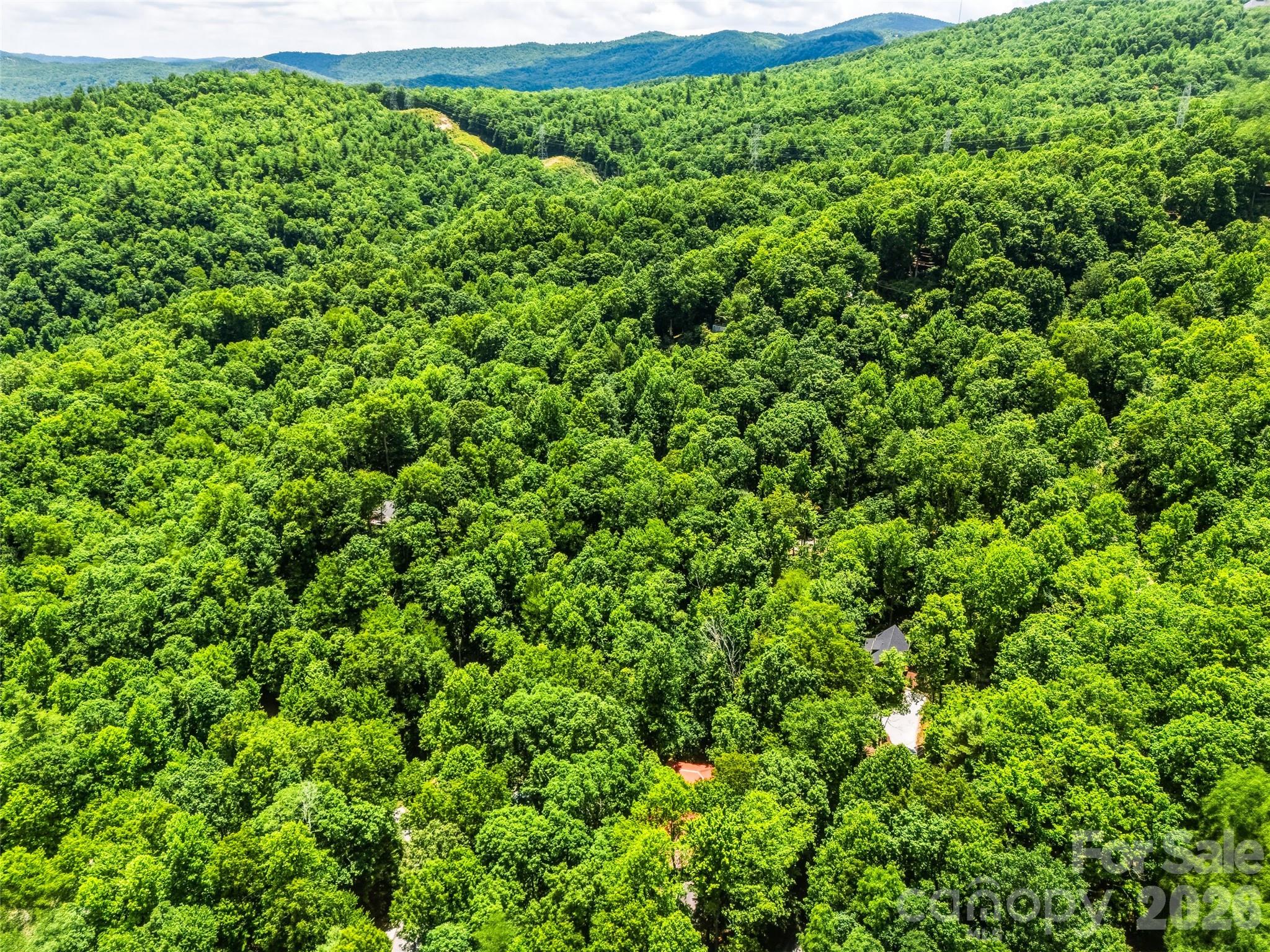 785 Pisgah Forest Drive Property Photo 48
