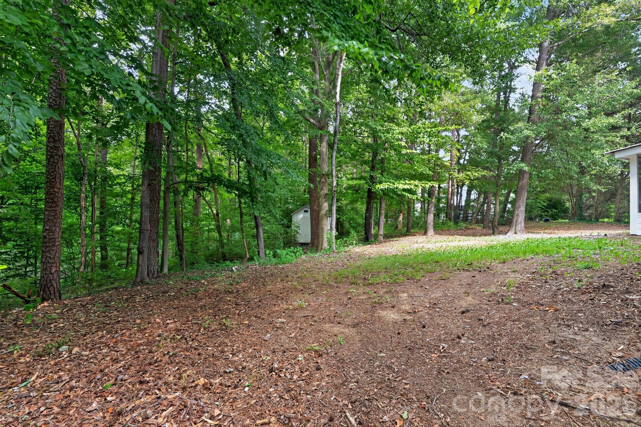 10304 Shady Rest Lane Property Photo 14