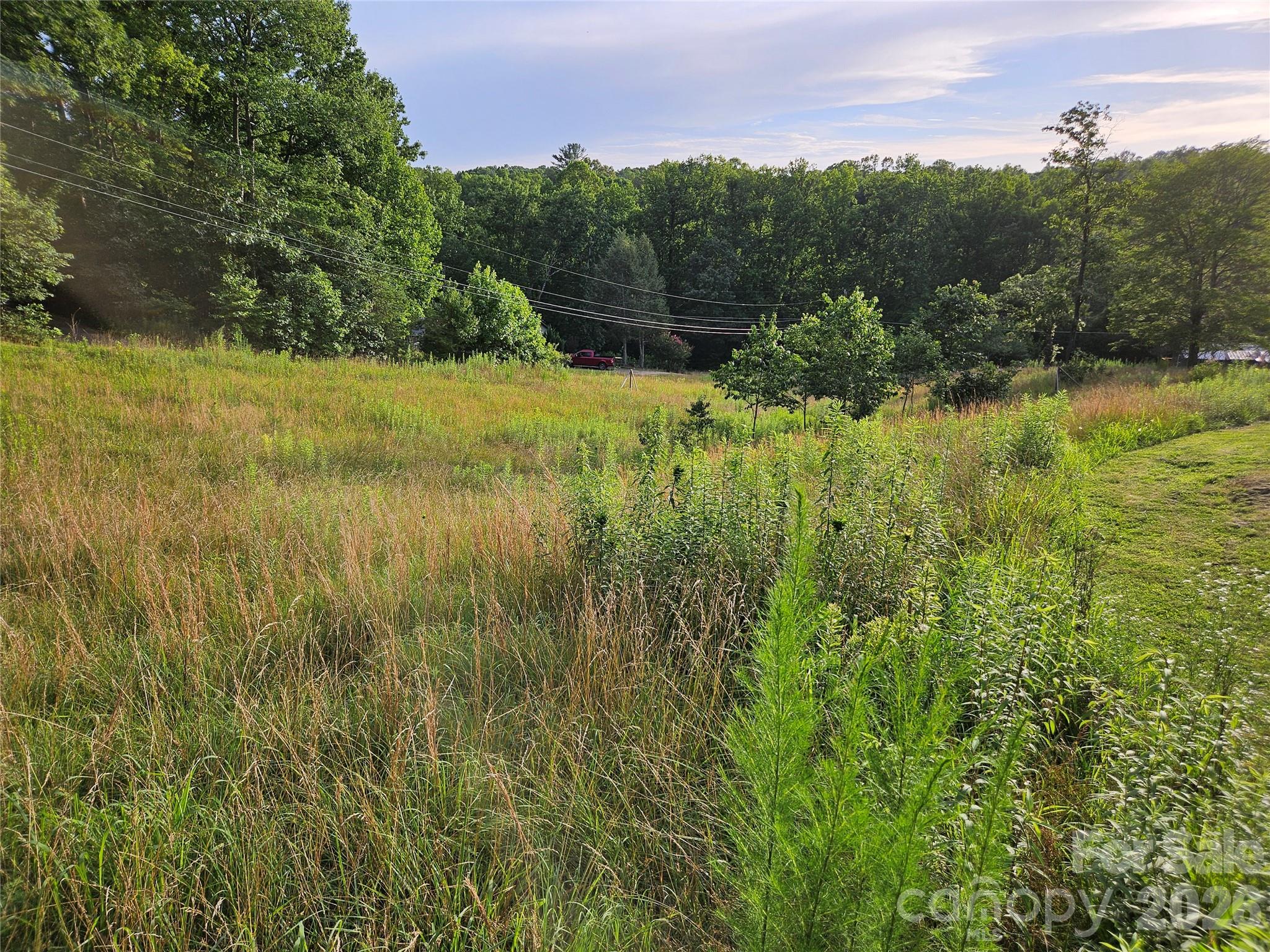 516 John Swofford Road Property Photo 5
