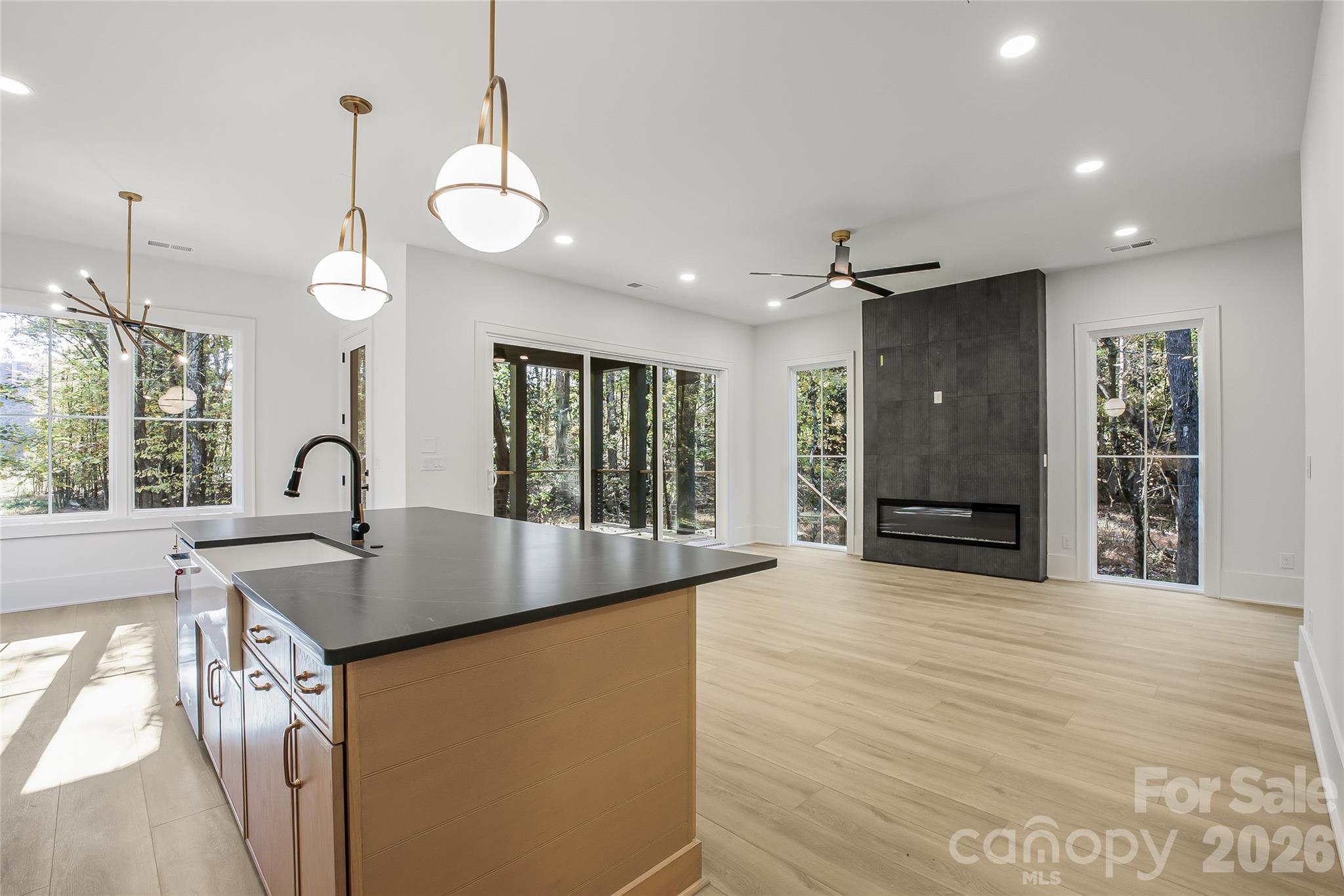 4003 Sage Cliff Court Property Photo 6