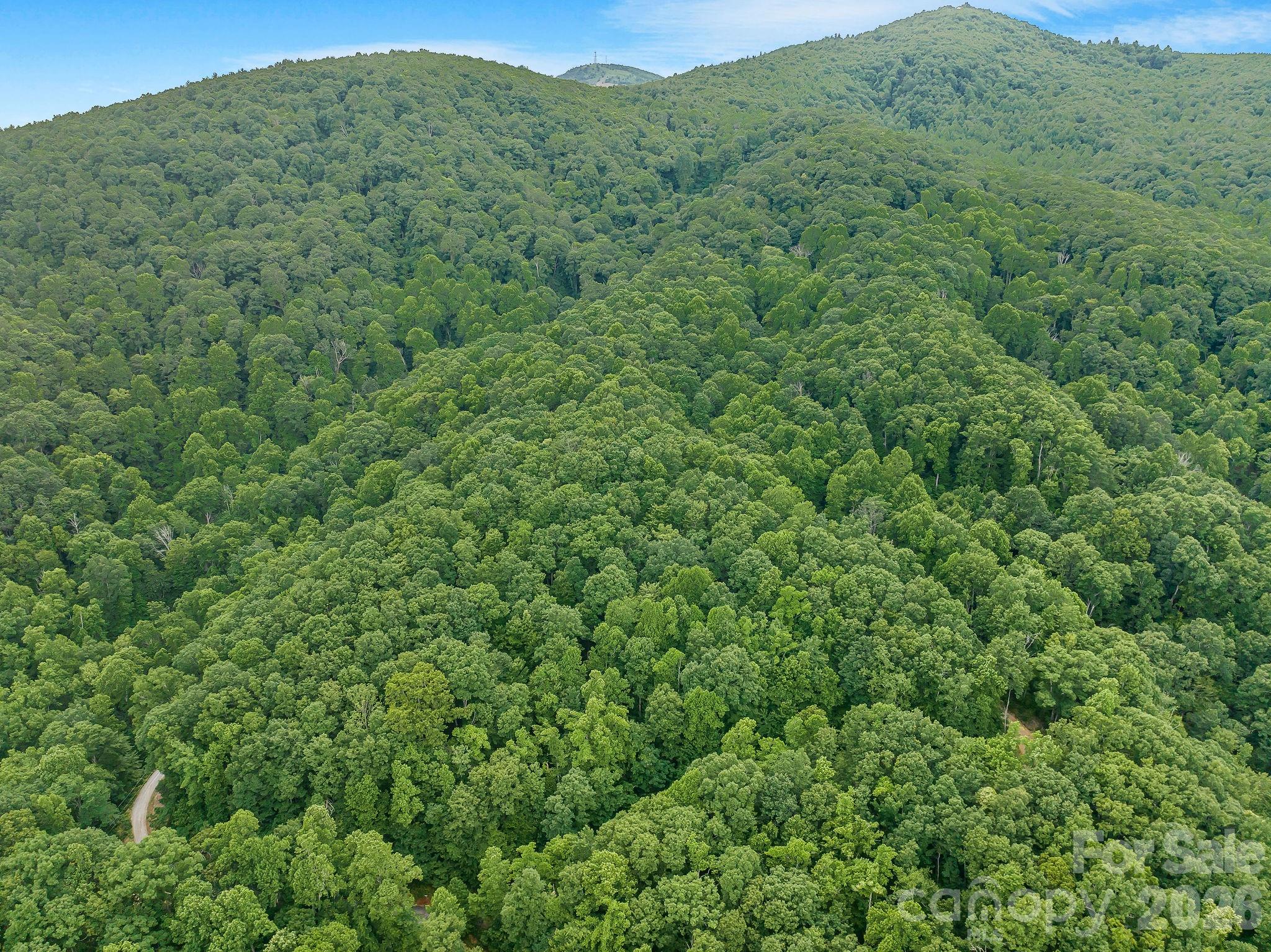 8 Carls Cove Road Property Photo 1