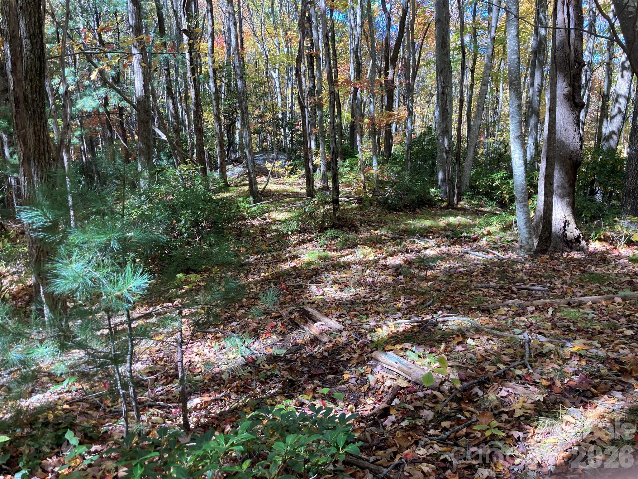 8 Carls Cove Road Property Photo 5