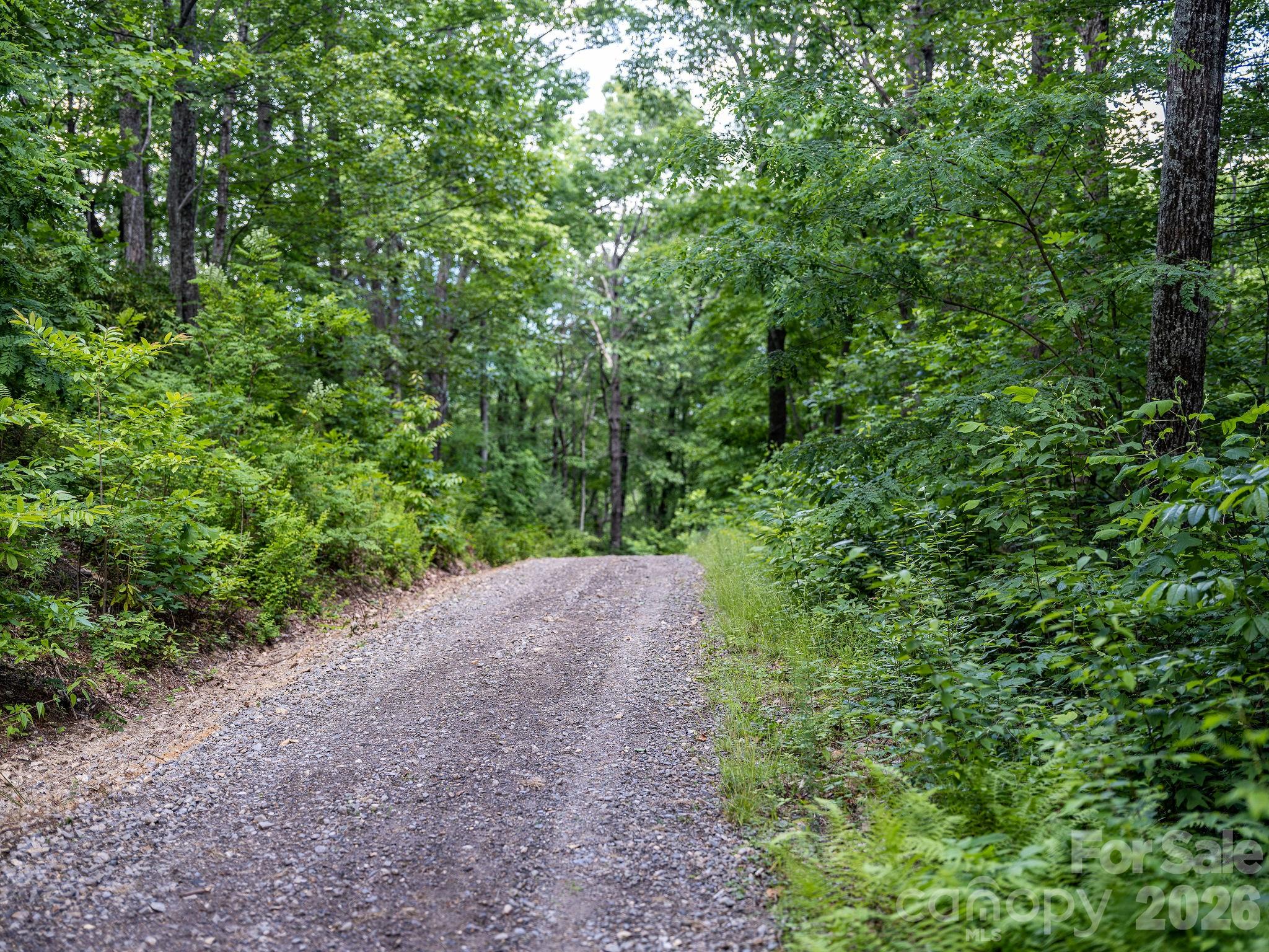 8 Carls Cove Road Property Photo 6