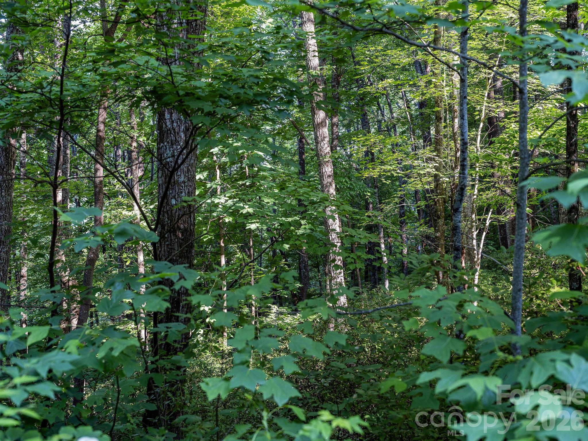8 Carls Cove Road Property Photo 9
