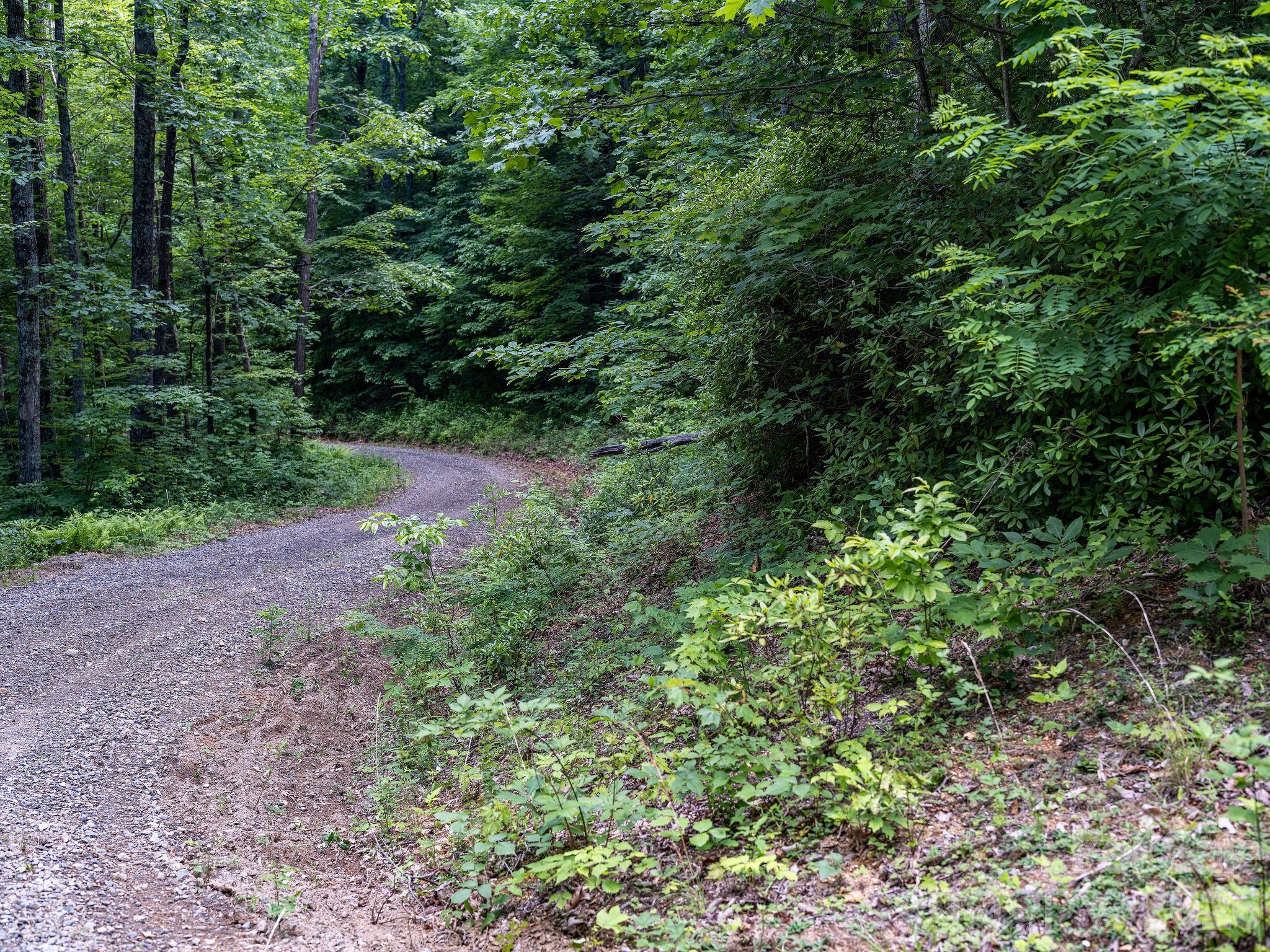 8 Carls Cove Road Property Photo 14