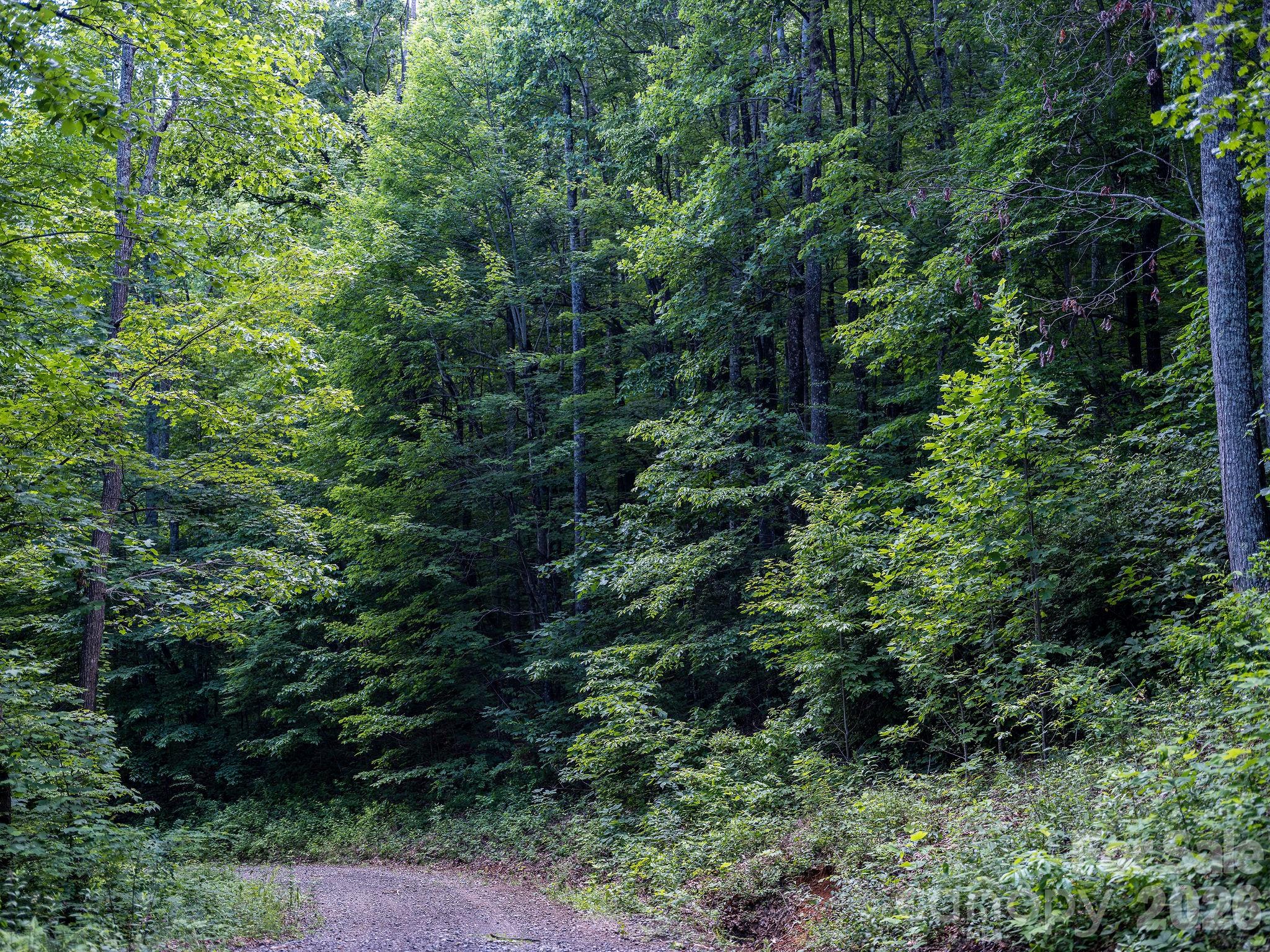 8 Carls Cove Road Property Photo 15