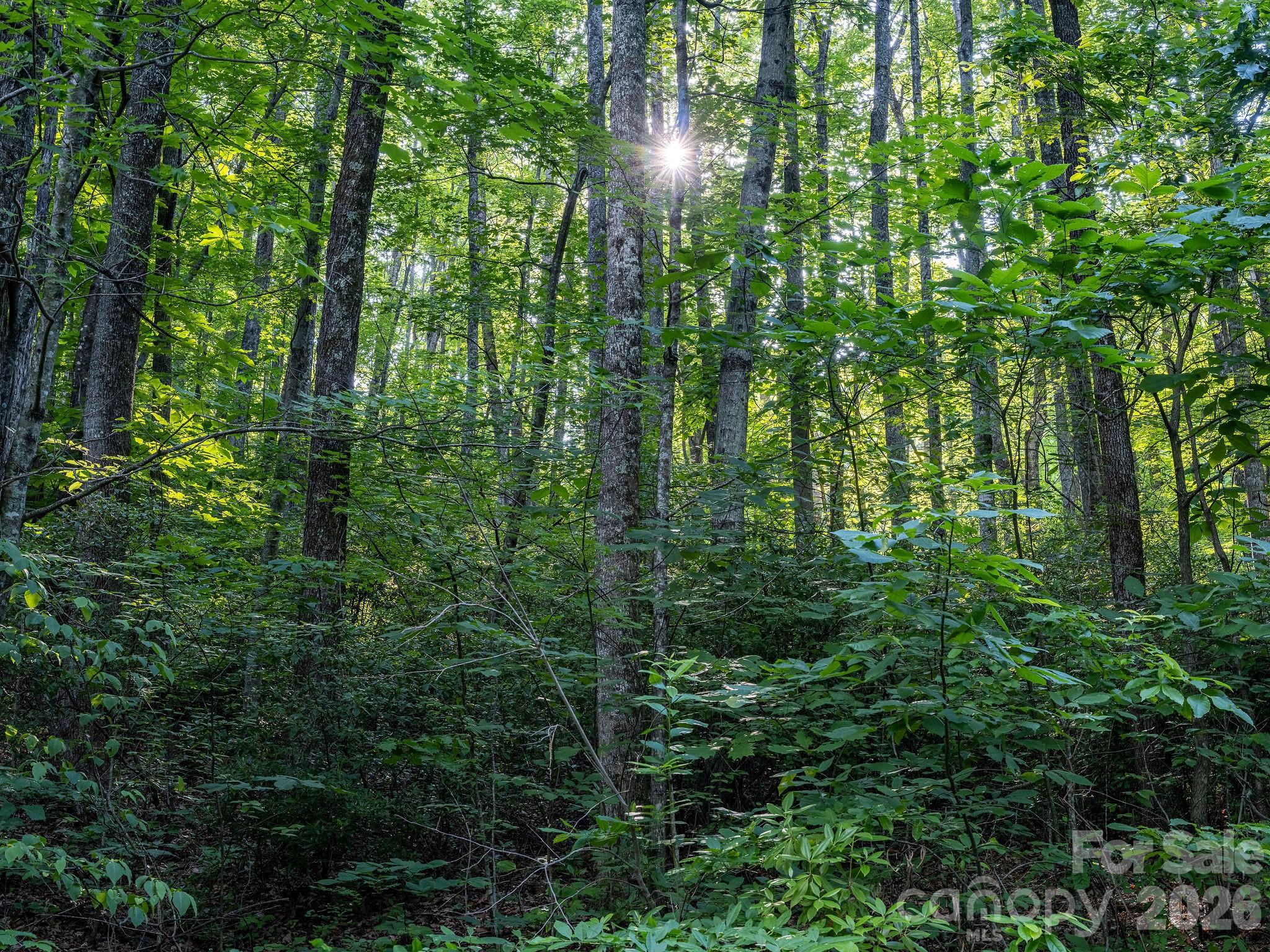 8 Carls Cove Road Property Photo 20