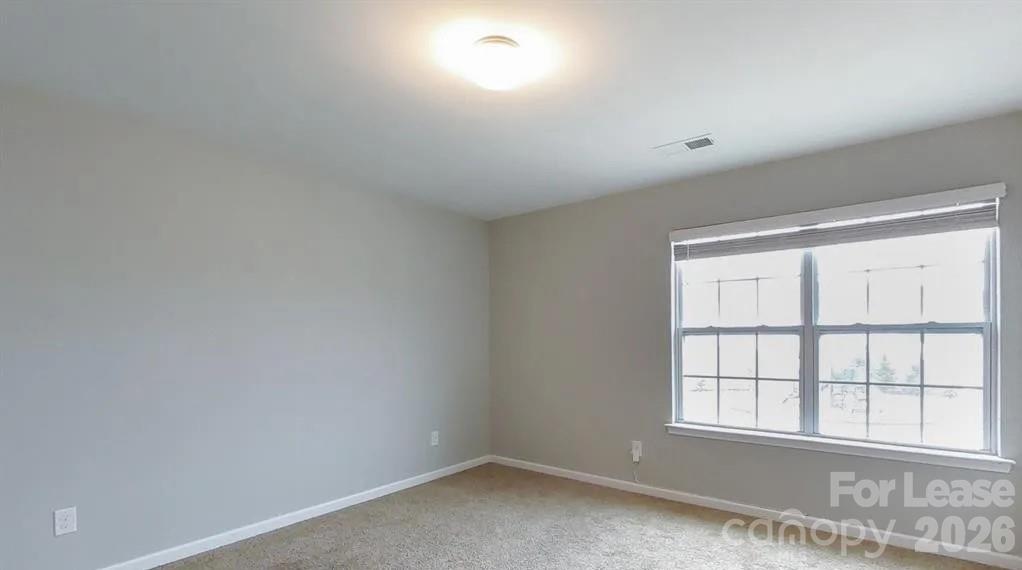 1525 Lilly Springs Place Property Photo 25
