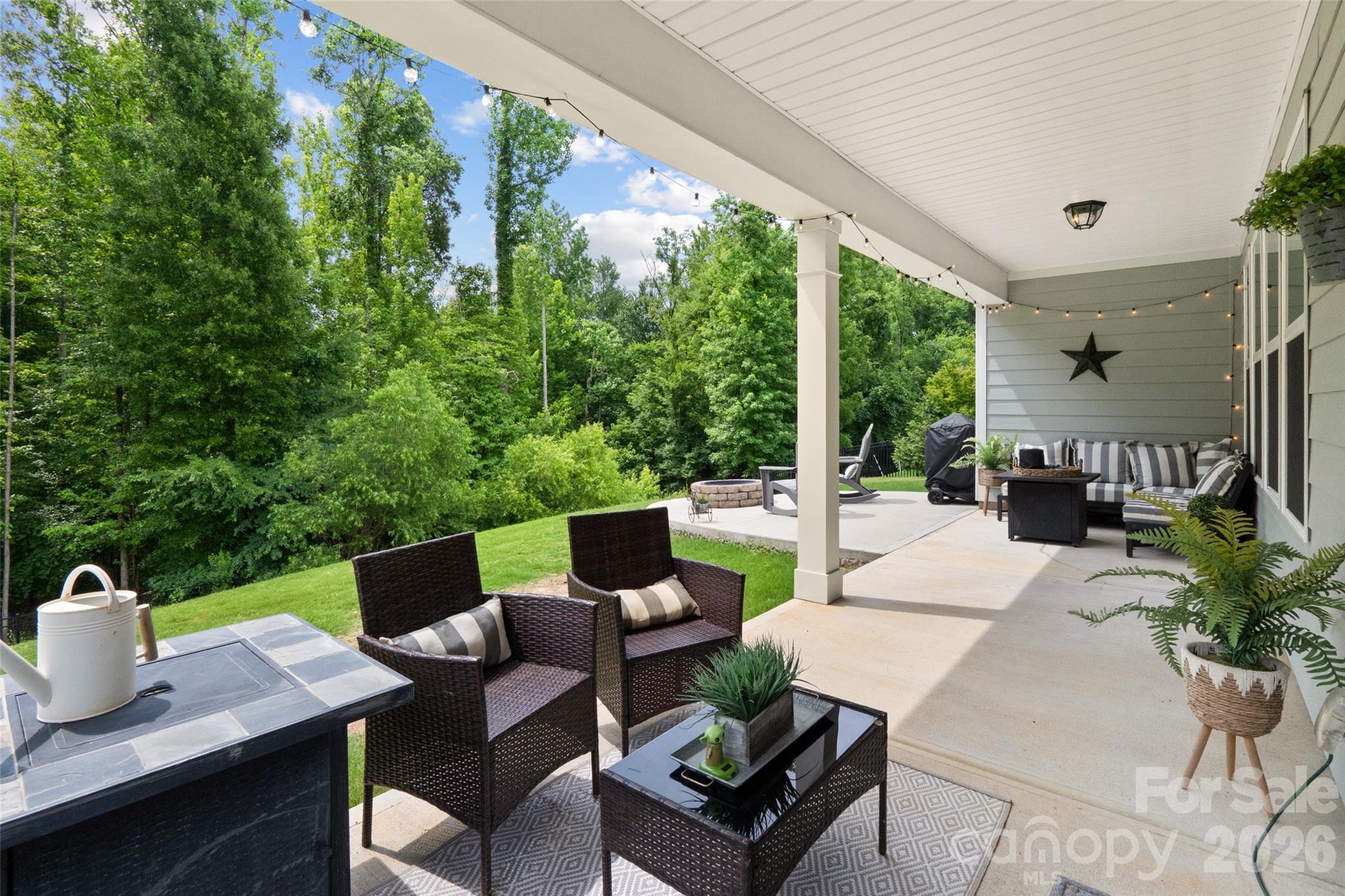 10397 Paper Birch Drive Property Photo 39