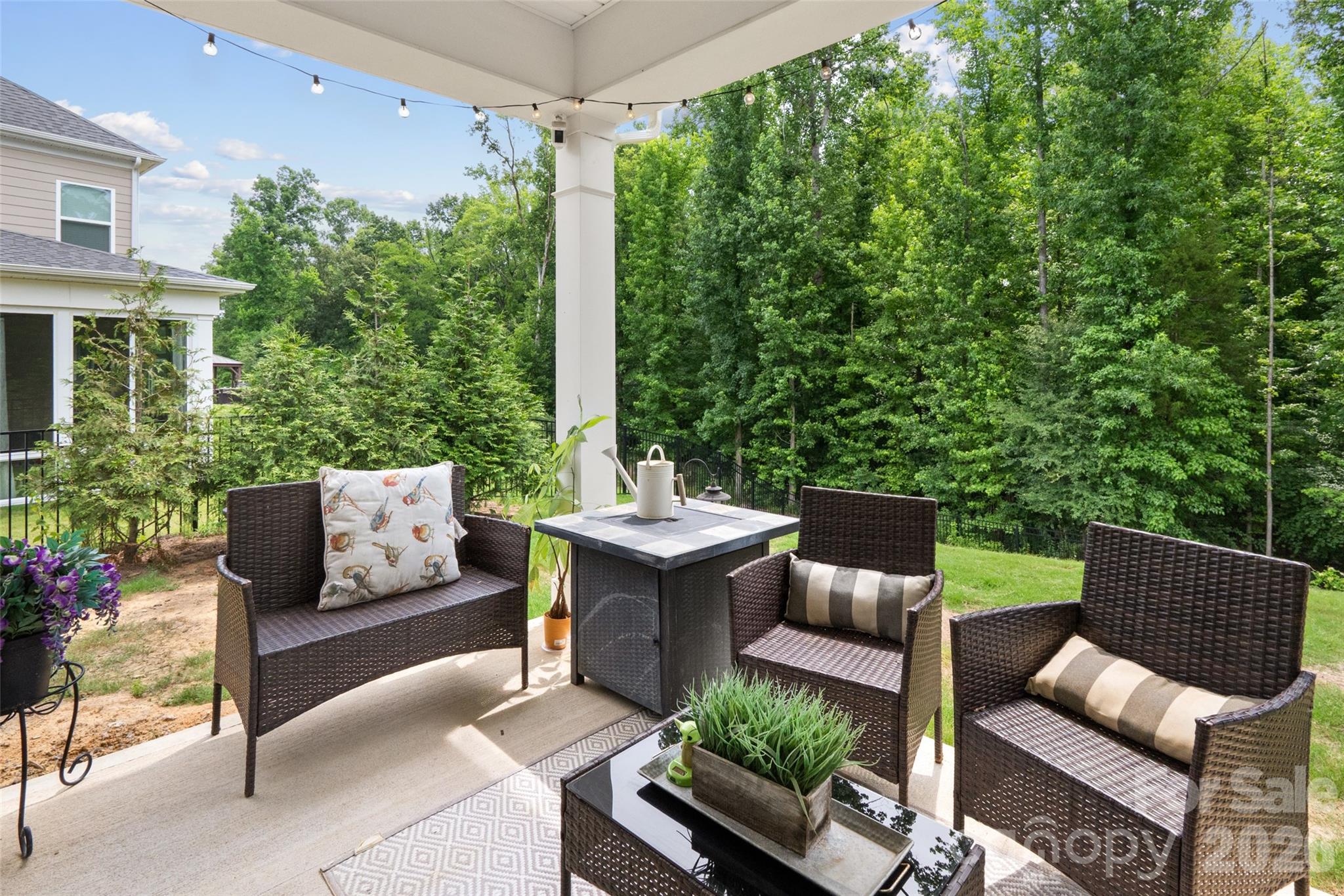 10397 Paper Birch Drive Property Photo 40