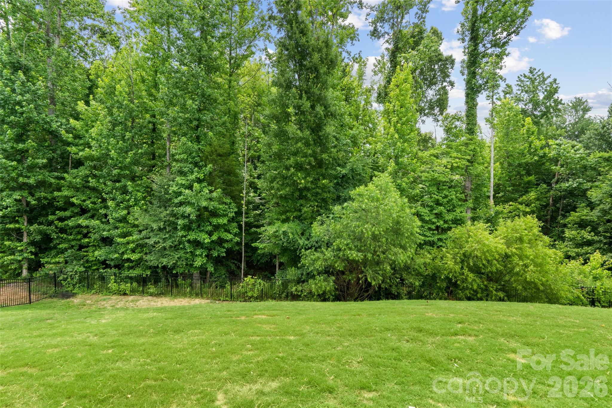 10397 Paper Birch Drive Property Photo 43