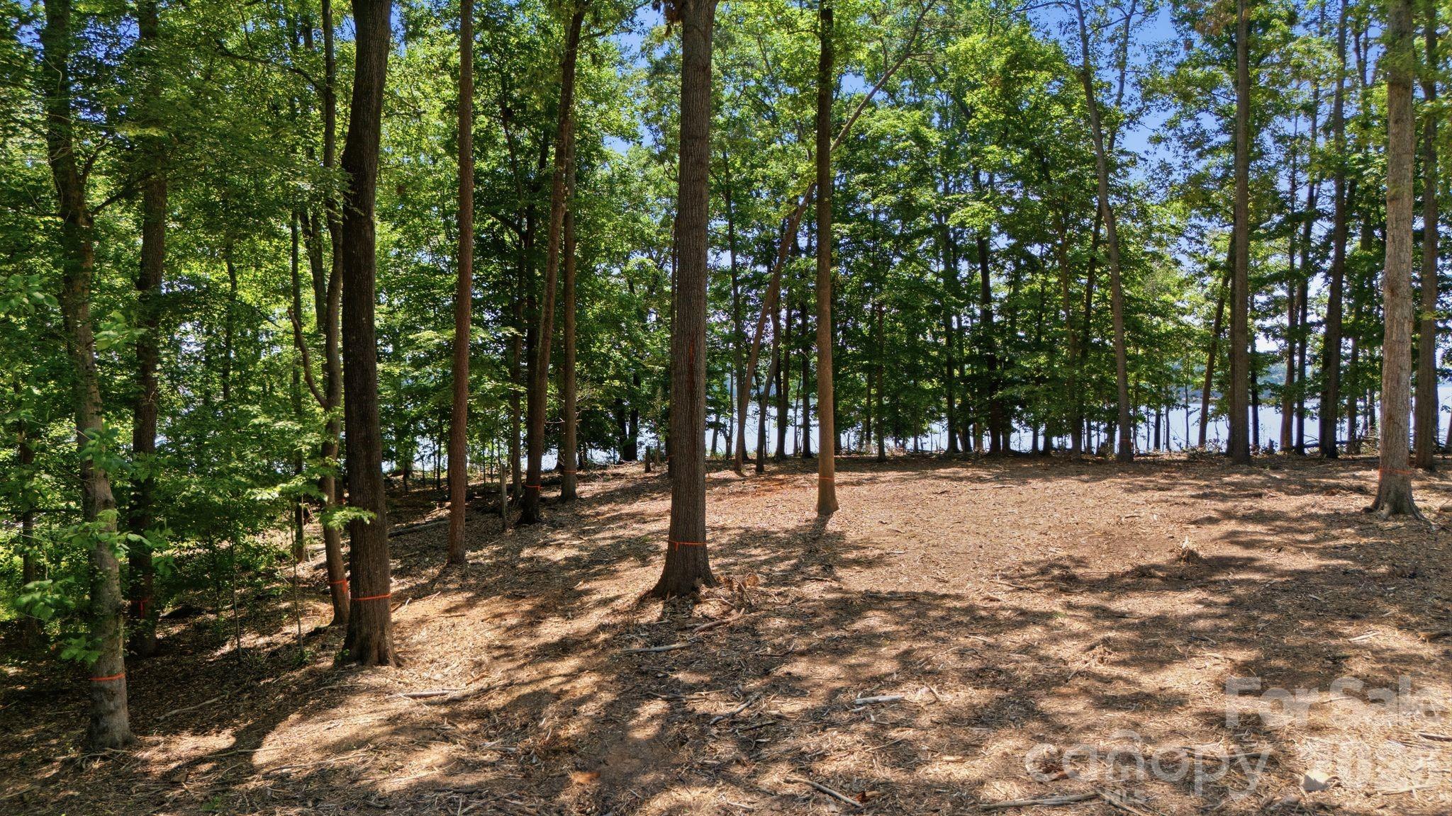 268 Kendricks Cove Property Photo 6