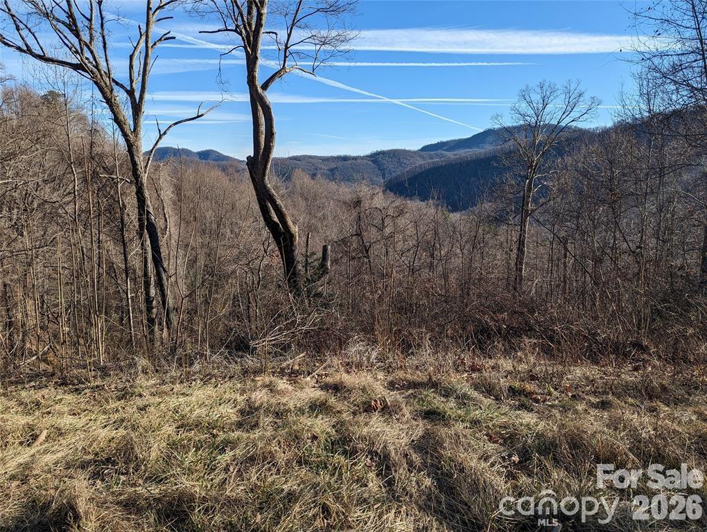 117 Ironwood Lane C-20 Property Photo 3