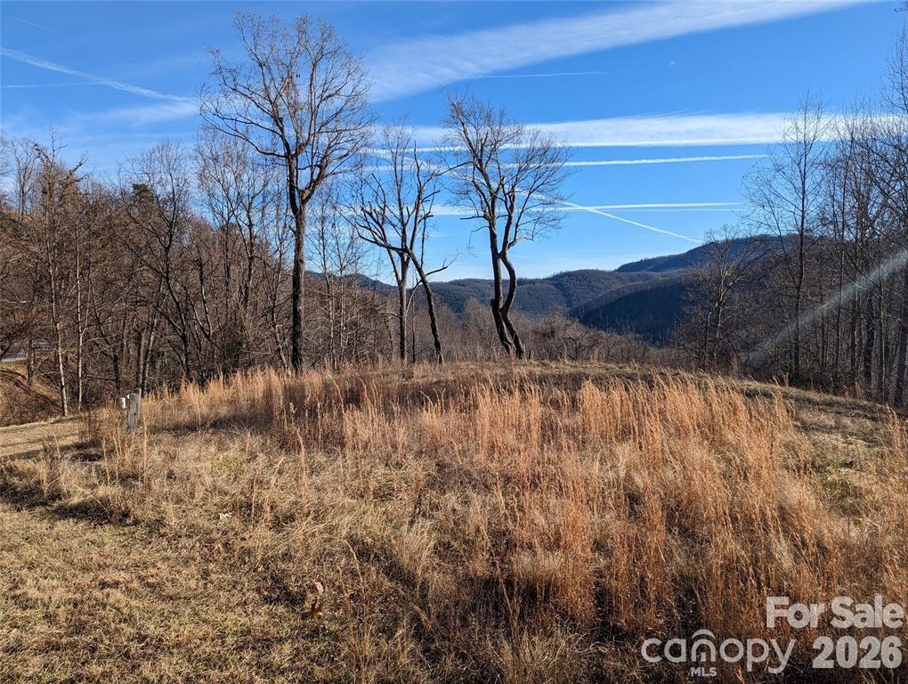 117 Ironwood Lane C-20 Property Photo 4