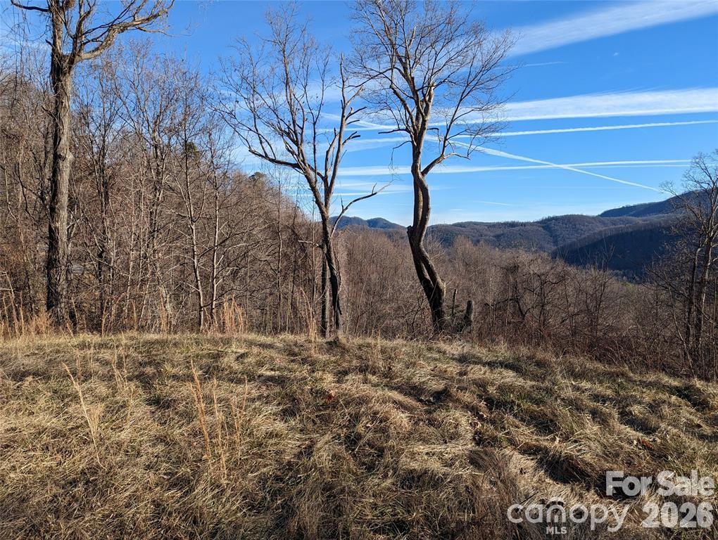 117 Ironwood Lane C-20 Property Photo 5
