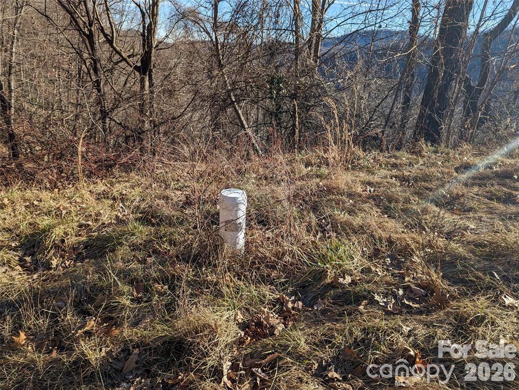 117 Ironwood Lane C-20 Property Photo 8