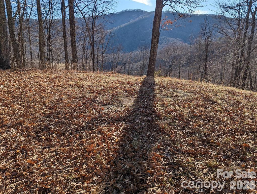 367 Kestrel Lane T-85 Property Photo 2