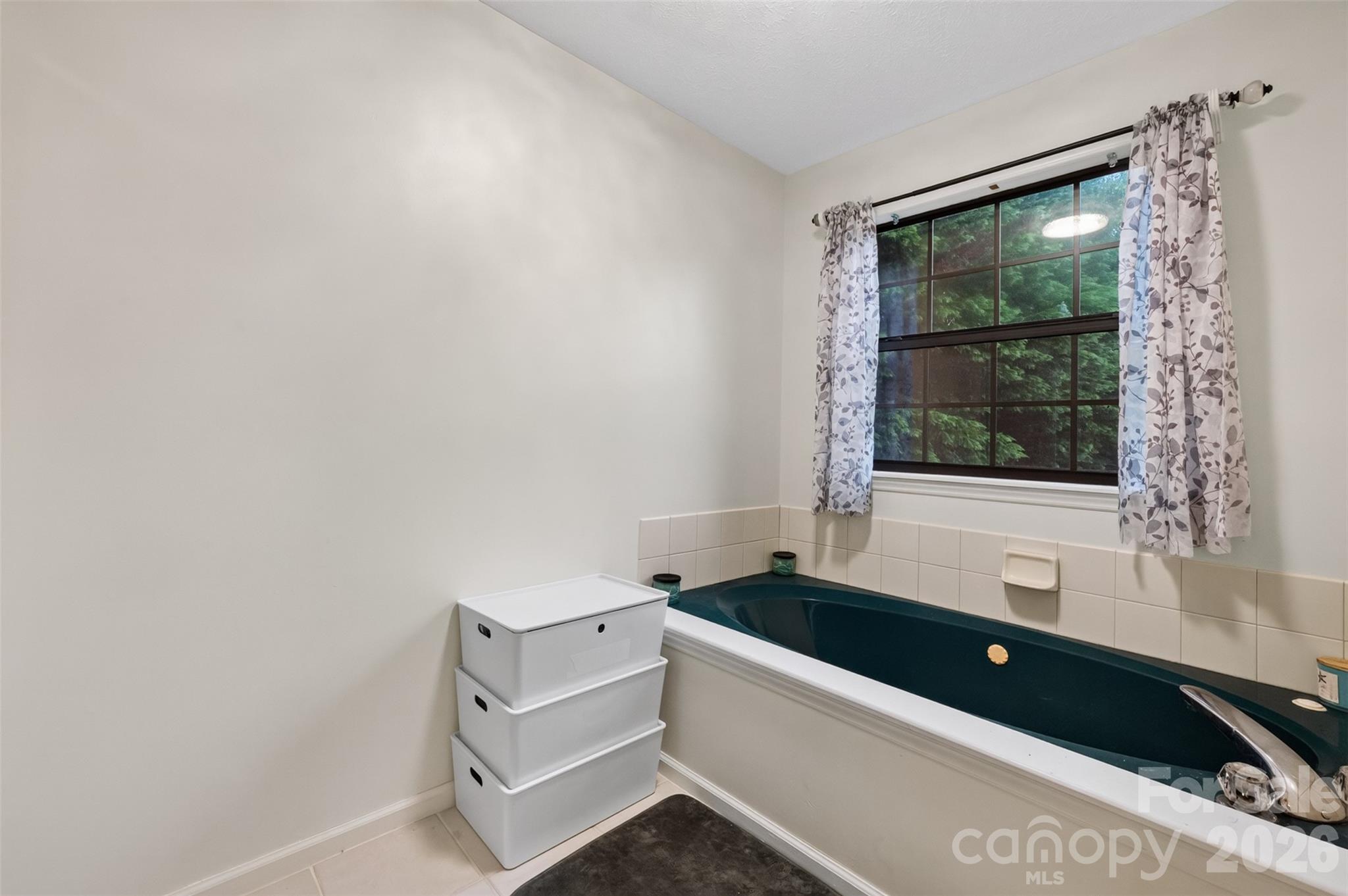1117 Cedar Creek Drive Property Photo 19