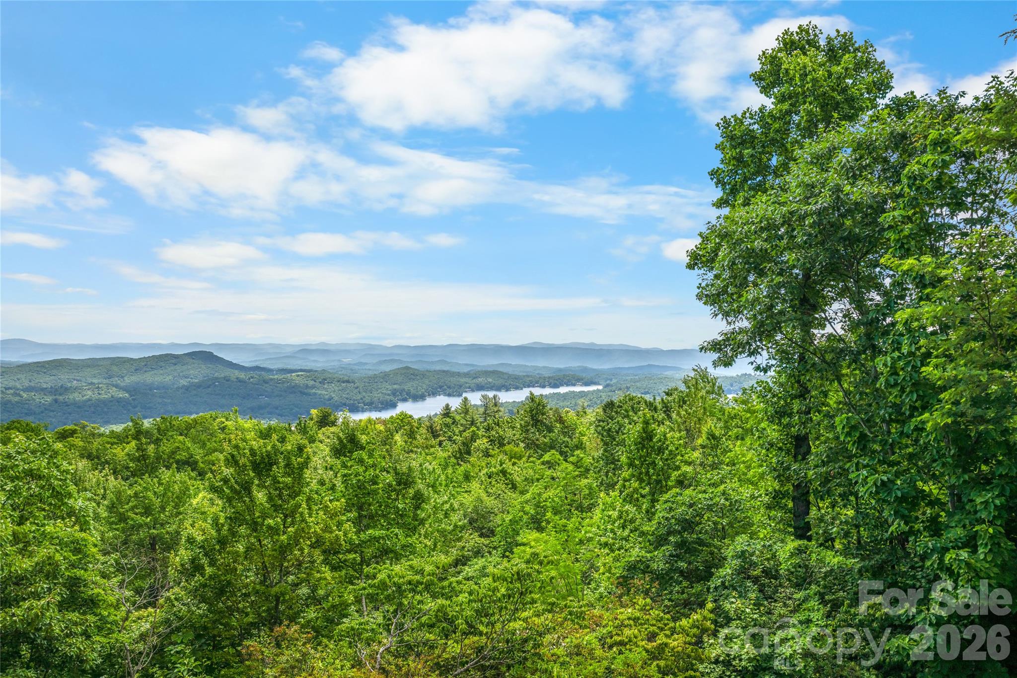 100 Meadow Ridge Drive Property Photo 29