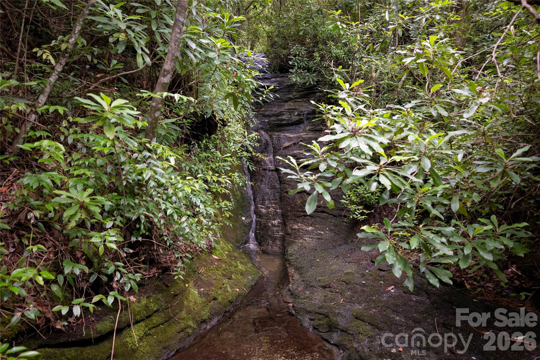 100 Meadow Ridge Drive Property Photo 43