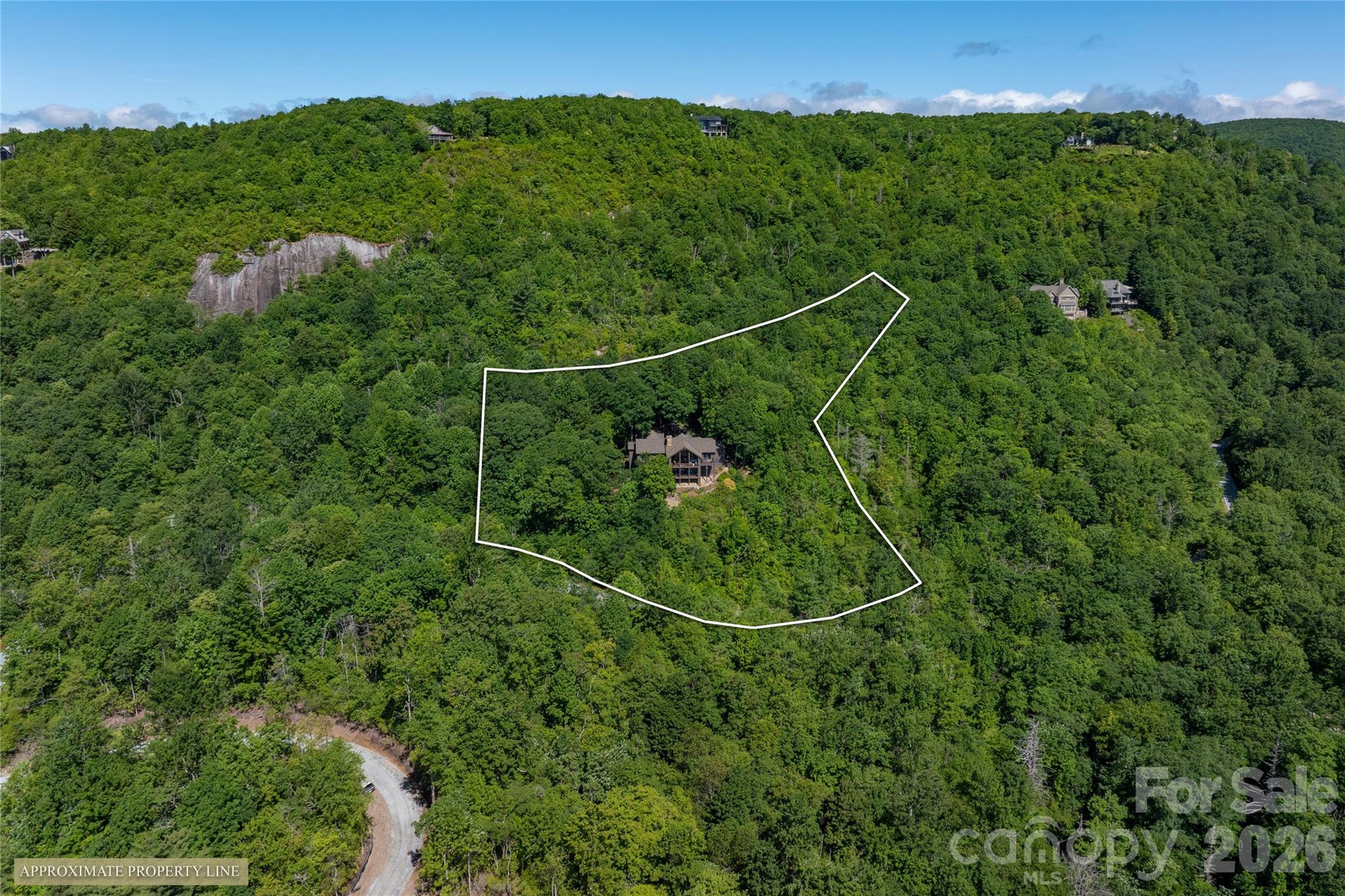 100 Meadow Ridge Drive Property Photo 48