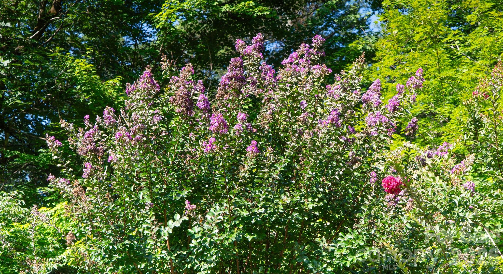 2086 Warrior Fork Trail Property Photo 39