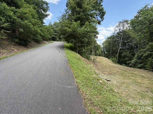 175 Renegade Ridge Property Photo 3