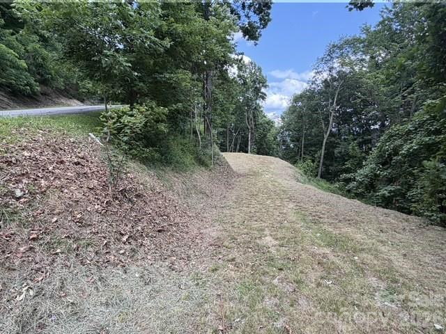 175 Renegade Ridge Property Photo 4