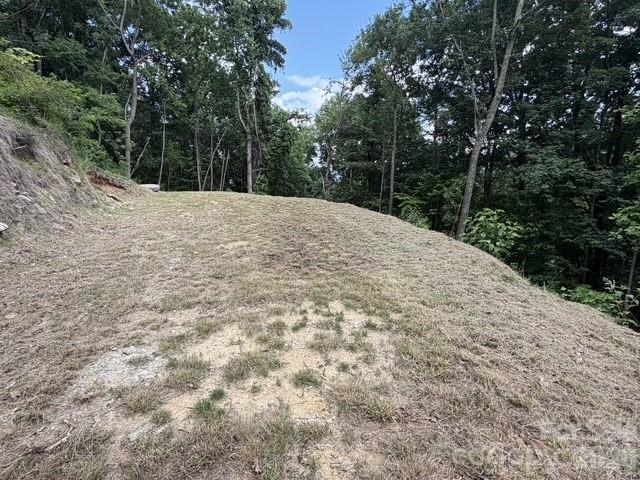 175 Renegade Ridge Property Photo 5