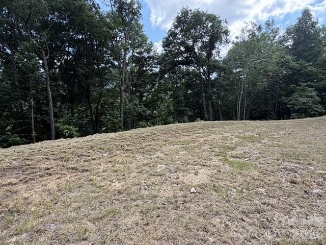 175 Renegade Ridge Property Photo 6