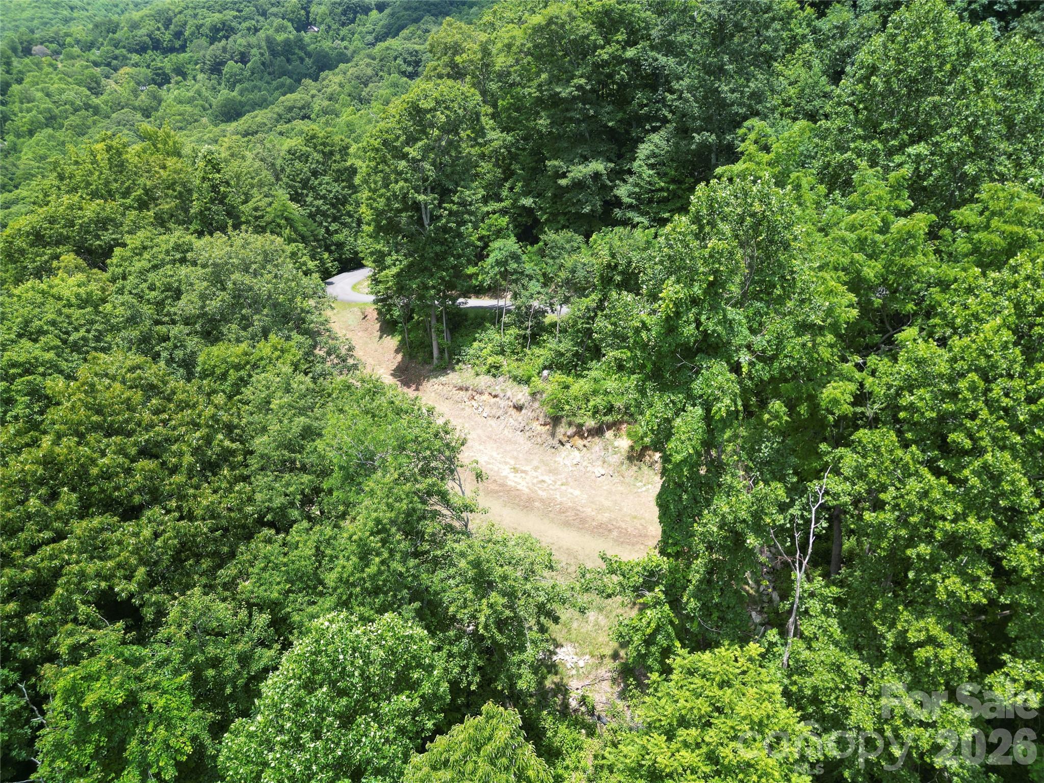175 Renegade Ridge Property Photo 9