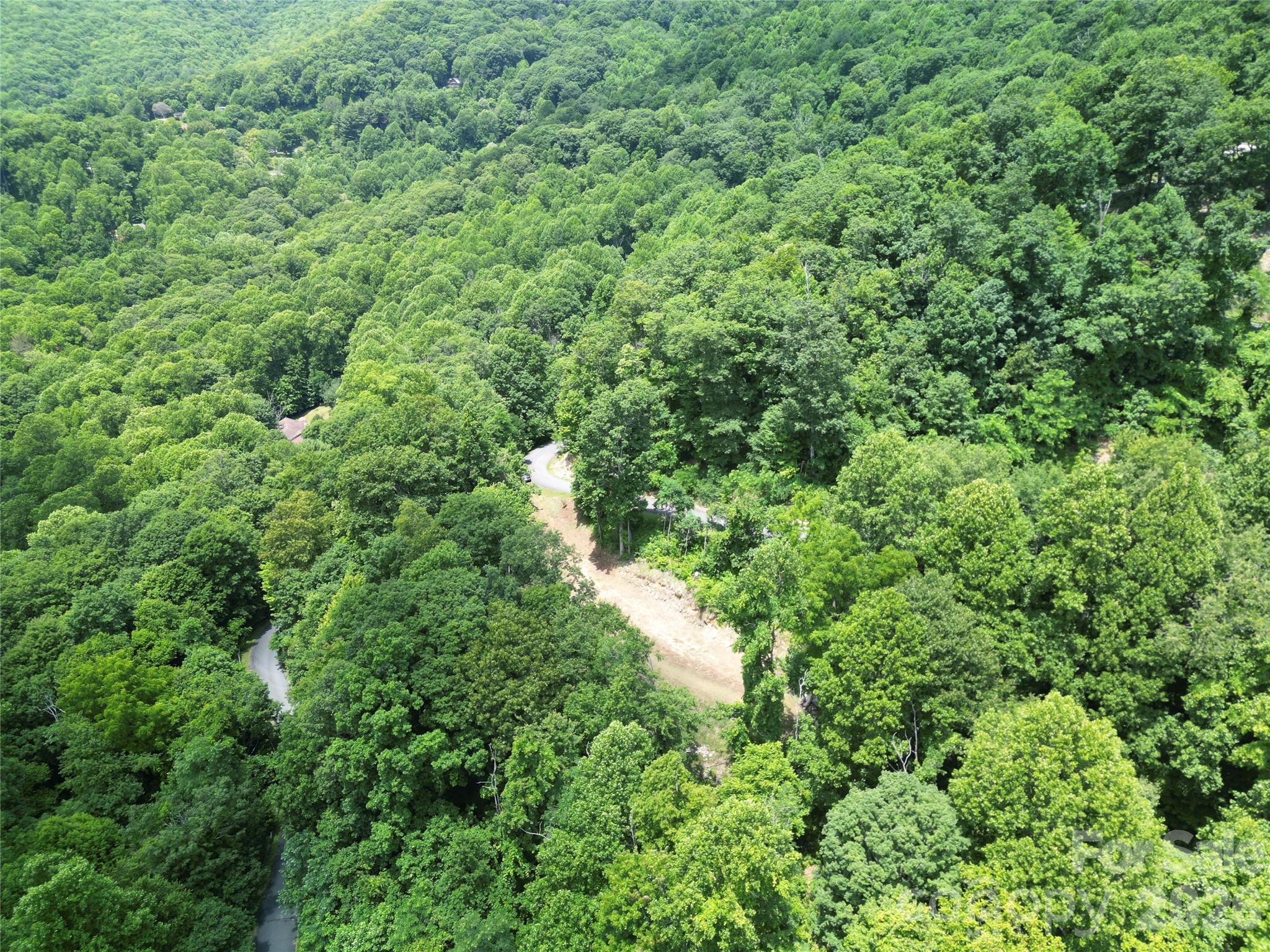175 Renegade Ridge Property Photo 10
